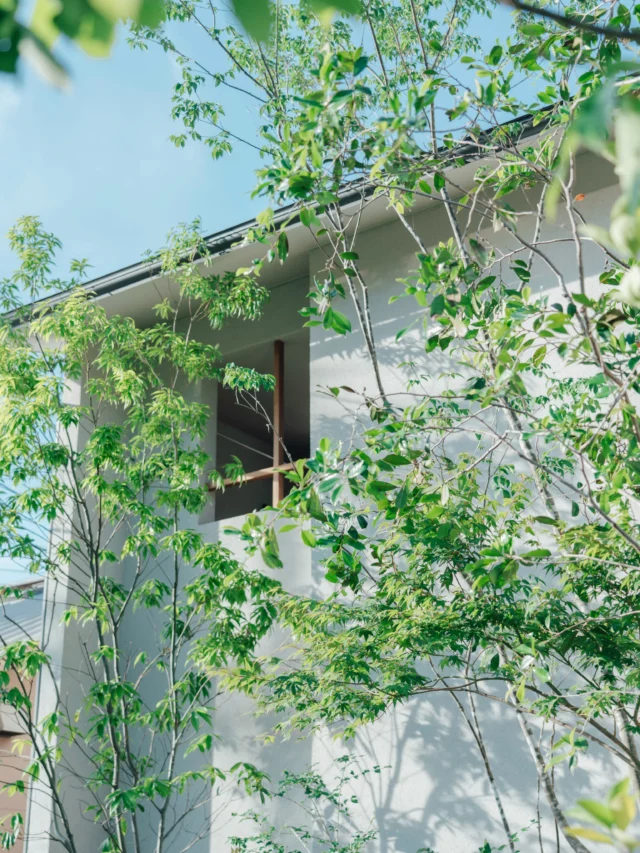 葉影がつくる、やさしい陰影

photo @tatsuyatabii 

ー
hospitality housing

-おもてなしの心を住まいにも-

自然と調和しながら、住まう人々を優しく包み込んでくれる住まい。
それこそが、時を経ても変わらない普遍的な本当の心地良さを育んでくれると考えています。

心を穏やかにしながら、ゆっくりと大切な時間を住み重ねられる、それが私たちイロハの家づくりです。

—————————————

■iroha (@iroha_architects)
奈良県奈良市西木辻町200-23
Tel: 0742-26-7111

—————————————

■モデルハウス
奈良県奈良市「西大寺の家」
奈良県生駒市「生駒スタジオ」

ご来場予約はHPまたはお電話にて受け付けております。

—————————————

■施工エリア
奈良県、京都府南部、大阪東部、滋賀県南部、三重県南部など

—————————————
#塗り壁 #設計 #建築 #注文住宅 #ベランダ